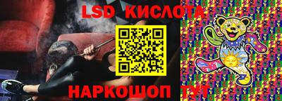 индика Ирбит