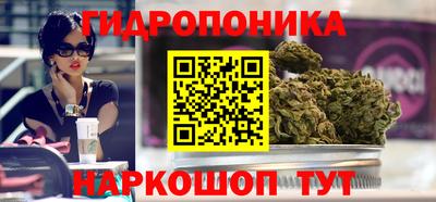 индика Ирбит
