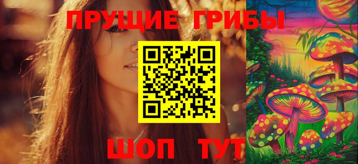 Псилоцибиновые грибы Psilocybine cubensis Черняховск