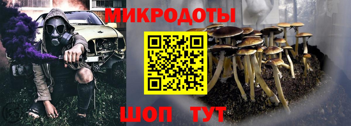 Черняховск  Псилоцибиновые грибы ЛСД  Вход с VPN 
