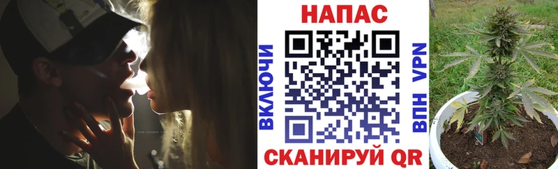 мега ссылка  Черняховск  МАРИХУАНА семена 