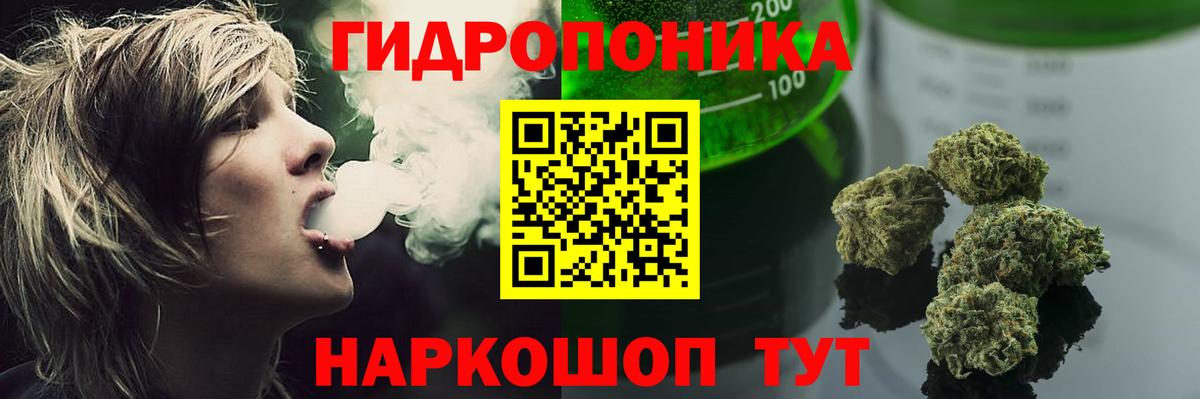 Шишки марихуана марихуана Черняховск